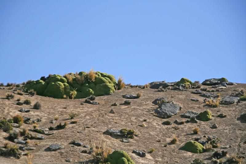 Peru 0897